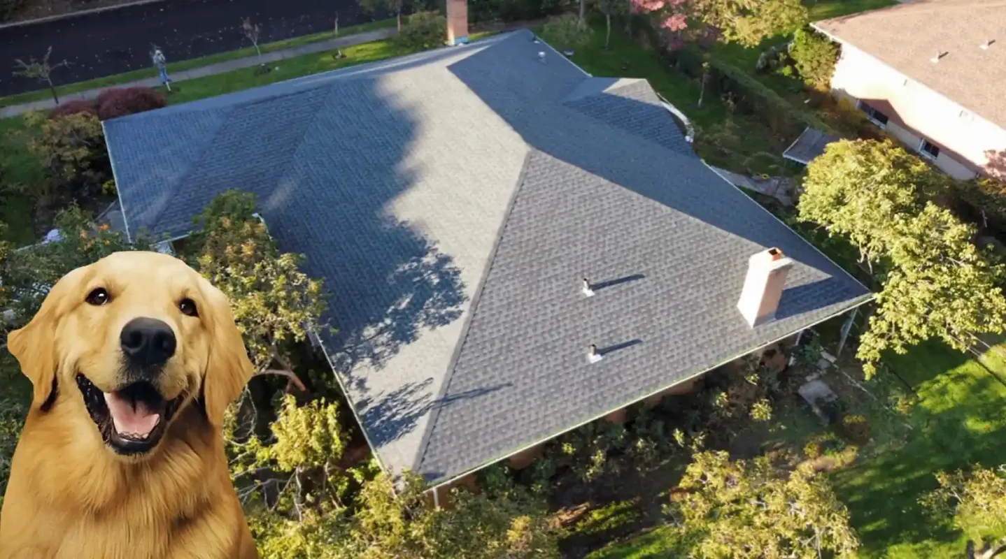 Residential Roof Repair Services