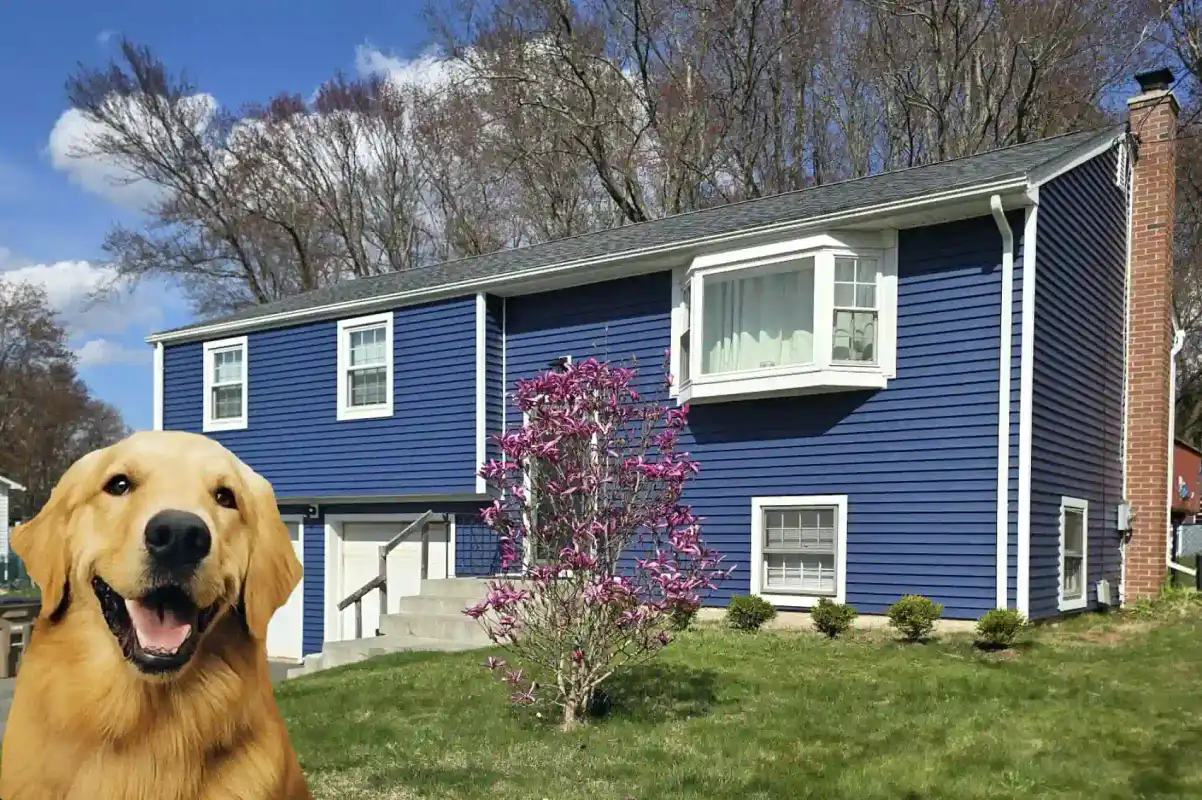 Blue-sided two-story home with a new dark shingle roof and brick chimney
